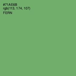 #71AE6B - Fern Color Image