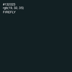 #132023 - Firefly Color Image