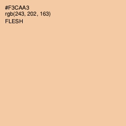 #F3CAA3 - Flesh Color Image