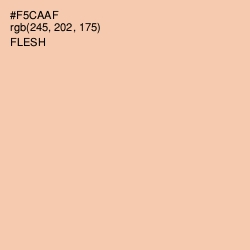 #F5CAAF - Flesh Color Image