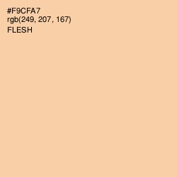 #F9CFA7 - Flesh Color Image