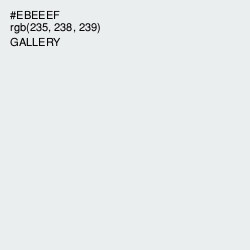 #EBEEEF - Gallery Color Image