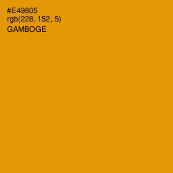 #E49805 - Gamboge Color Image