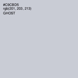 #C9CBD5 - Ghost Color Image
