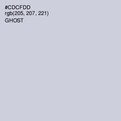 #CDCFDD - Ghost Color Image