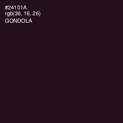 #24101A - Gondola Color Image