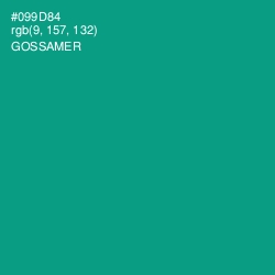 #099D84 - Gossamer Color Image
