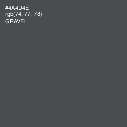 #4A4D4E - Gravel Color Image