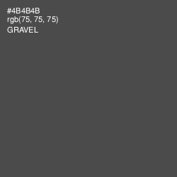 #4B4B4B - Gravel Color Image