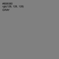#808080 - Gray Color Image