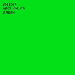#03E017 - Green Color Image