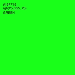 #19FF19 - Green Color Image