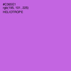 #C365E1 - Heliotrope Color Image