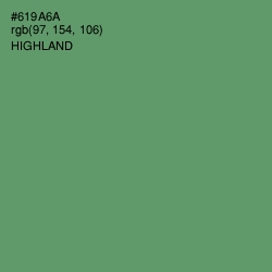 #619A6A - Highland Color Image