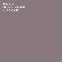 #89787D - Hurricane Color Image