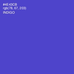 #4E43CB - Indigo Color Image