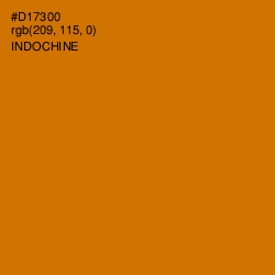 #D17300 - Indochine Color Image