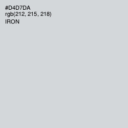 #D4D7DA - Iron Color Image