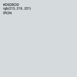 #D5DBDD - Iron Color Image