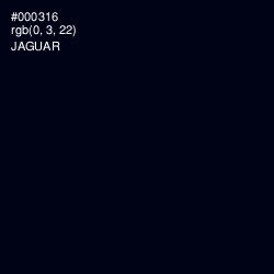 #000316 - Jaguar Color Image