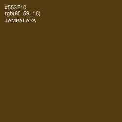 #553B10 - Jambalaya Color Image