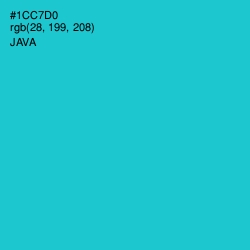 #1CC7D0 - Java Color Image