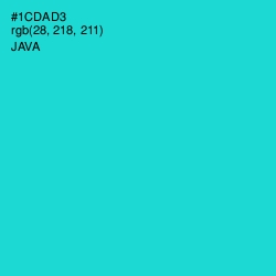 #1CDAD3 - Java Color Image