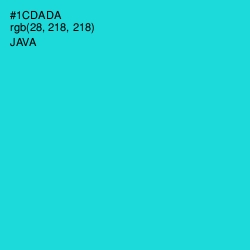 #1CDADA - Java Color Image