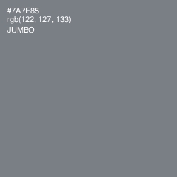 #7A7F85 - Jumbo Color Image