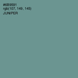 #6B9591 - Juniper Color Image