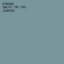 #79969C - Juniper Color Image