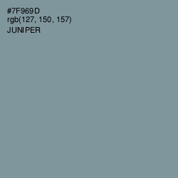 #7F969D - Juniper Color Image