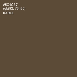#5C4C37 - Kabul Color Image