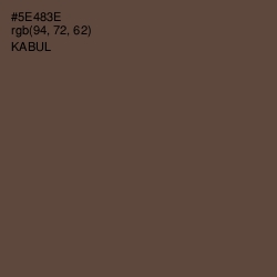#5E483E - Kabul Color Image