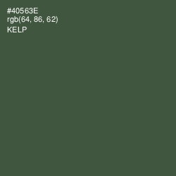 #40563E - Kelp Color Image