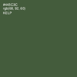 #445C3C - Kelp Color Image