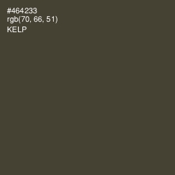 #464233 - Kelp Color Image