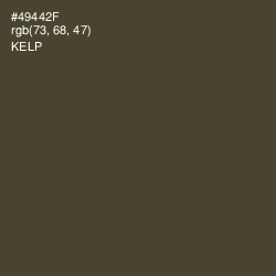 #49442F - Kelp Color Image