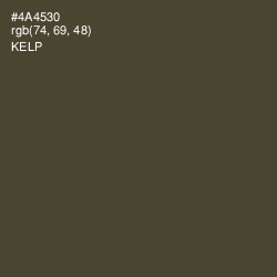 #4A4530 - Kelp Color Image