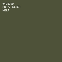 #4D5239 - Kelp Color Image