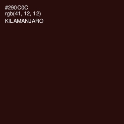 #290C0C - Kilamanjaro Color Image
