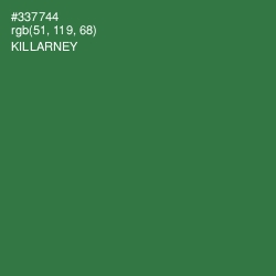 #337744 - Killarney Color Image