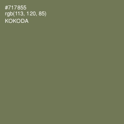 #717855 - Kokoda Color Image