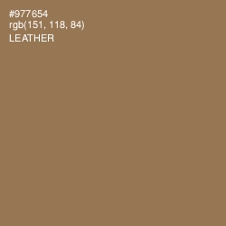 #977654 - Leather Color Image