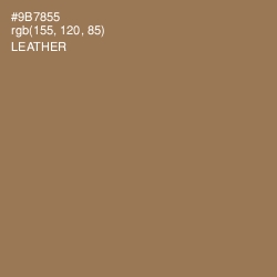 #9B7855 - Leather Color Image