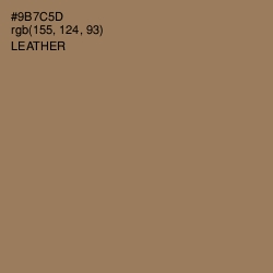#9B7C5D - Leather Color Image