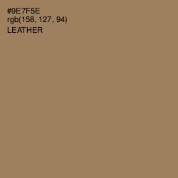 #9E7F5E - Leather Color Image