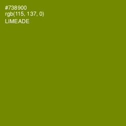 #738900 - Limeade Color Image