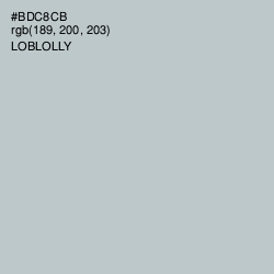 #BDC8CB - Loblolly Color Image