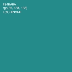 #248A8A - Lochinvar Color Image